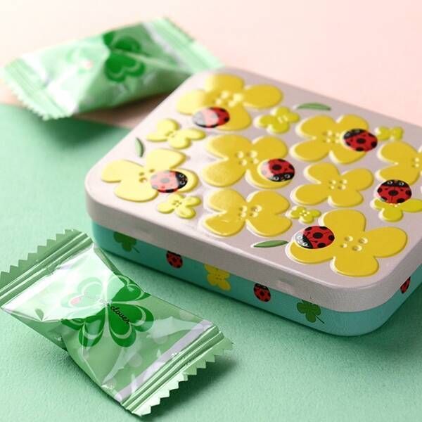 カルディのお菓子の缶