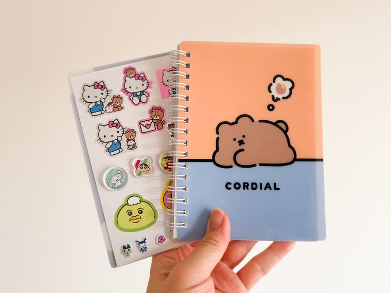 セリアのシール帳を持っている様子