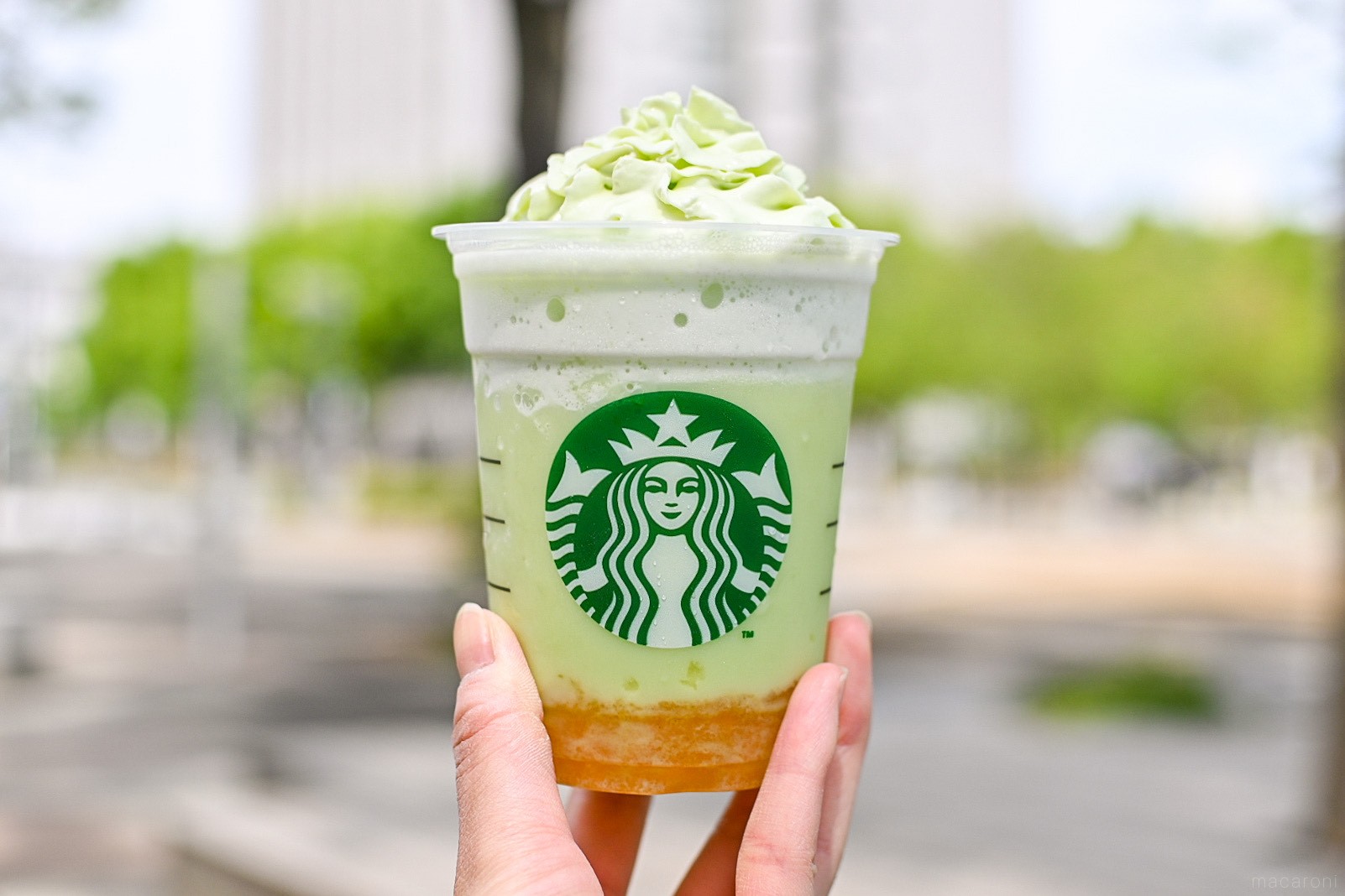 ※メロンフラペチーノ ※メロンフラペチーノ