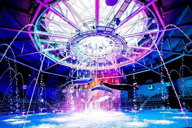 行ってよかった水族館の人気ランキングTOP10全国のおすすめスポットの画像