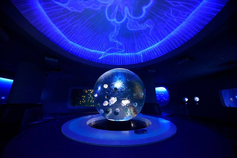 行ってよかった水族館の人気ランキングTOP10全国のおすすめスポットの画像