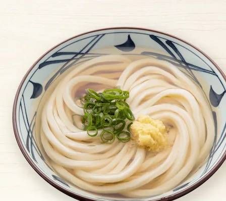 刻みねぎとおろししょうががのったかけうどん