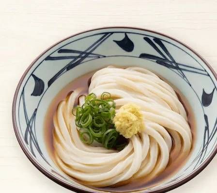 刻みねぎとおろししょうががのったぶっかけうどん