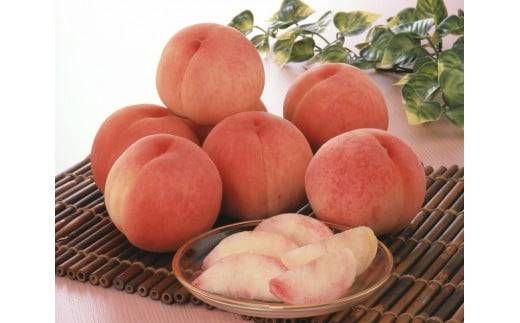 ふるさとチョイス