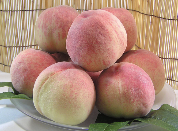 白鳳が盛られている様子