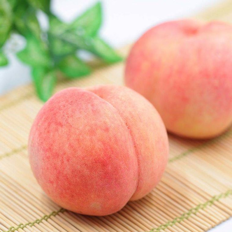 さくら白桃の様子