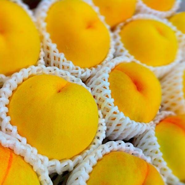 黄金桃が並んでいる様子