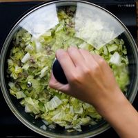 【作り方】白菜とひき肉のあんかけ