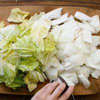 【作り方】白菜と鶏肉のクリーム煮