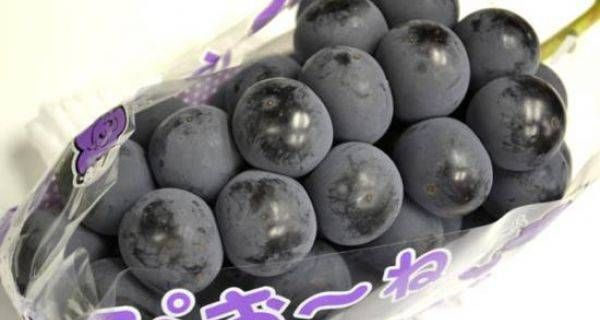 ピオーネが置かれている