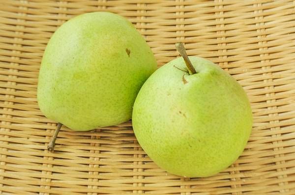 フレミッシュ・ビューティが2個置かれている