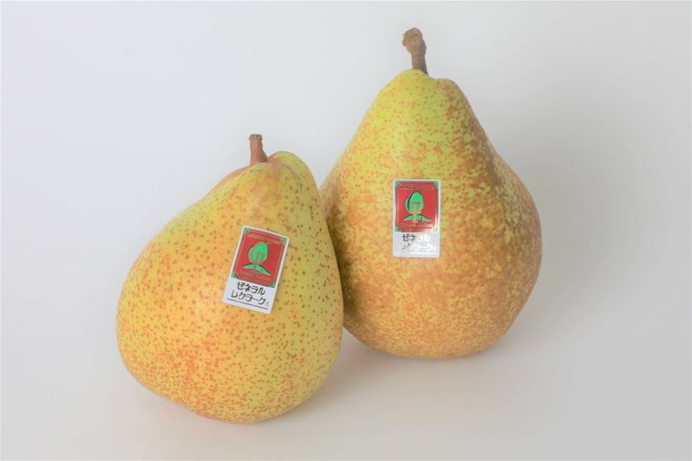 ゼネラル・レクラークが2個置かれている