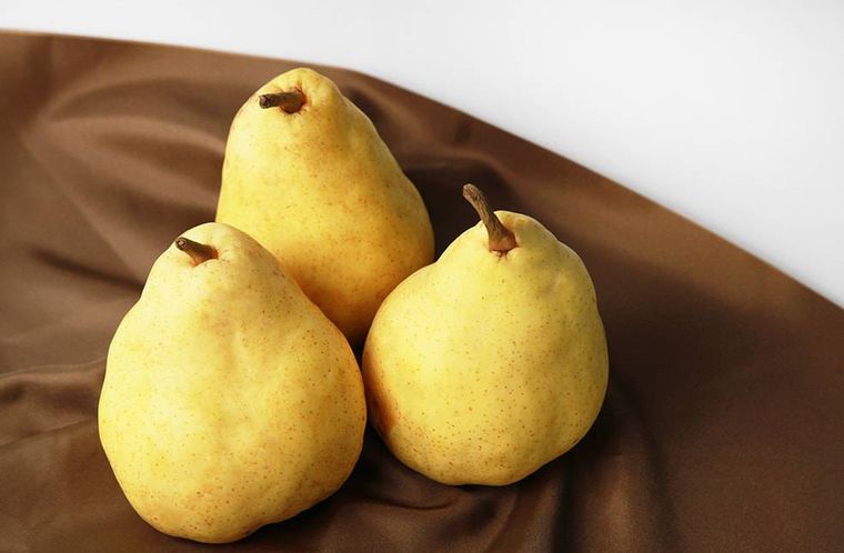 ル・レクチェが3個置かれている