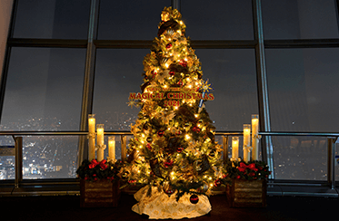 東京スカイツリータウンドリームクリスマスのイメージ