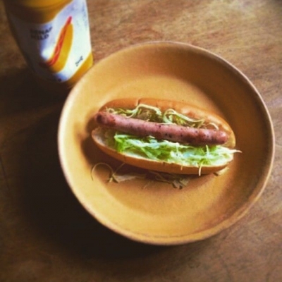 Instagramで話題の「オザドッグ」を知っていますか?