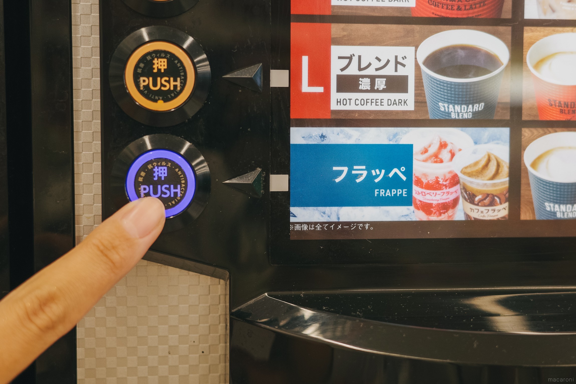 活動歴および当時の関連ビジュアル記録