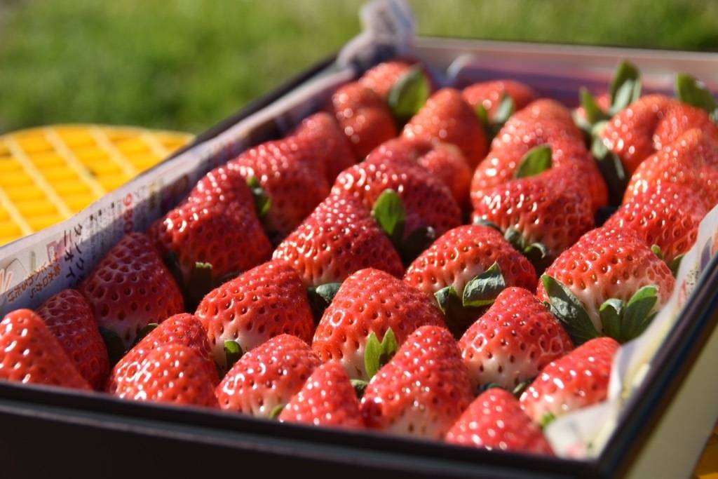 VzlwpVtX17S6AqJKjJPAf7tDwL4qsw