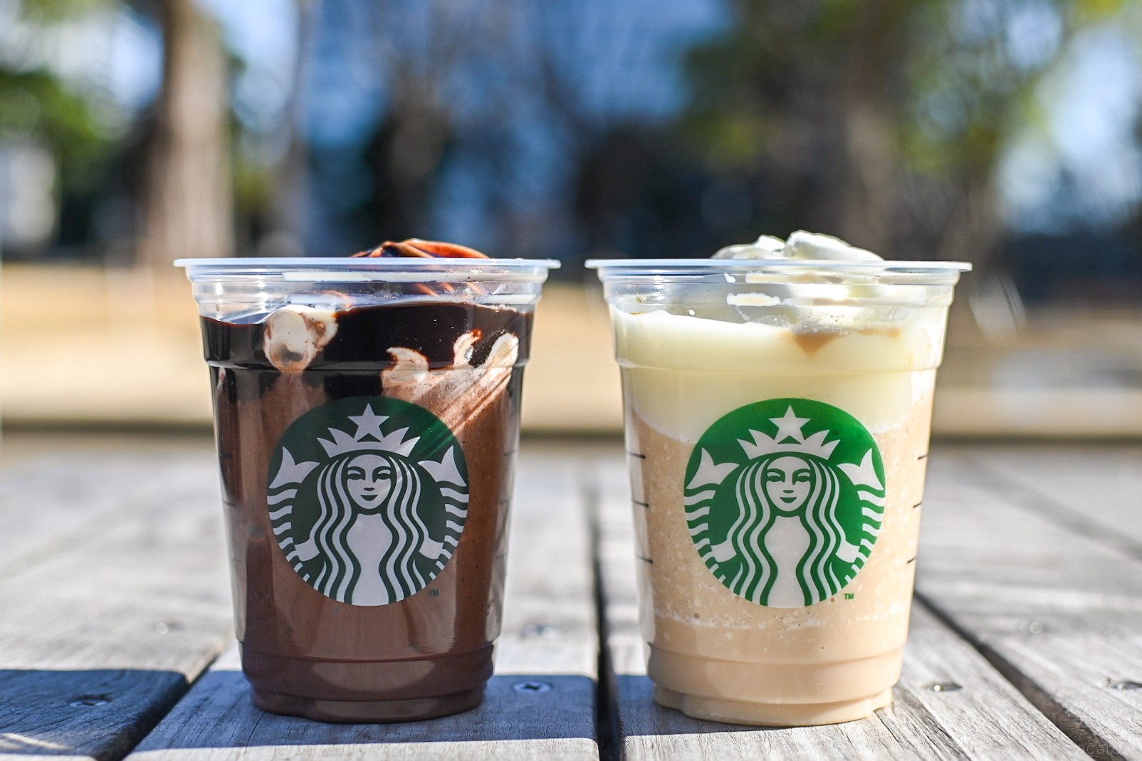 スターバックス　フラペチーノ　モカ味　16瓶セット top.jpg