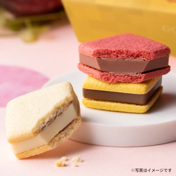 ゴディバフルーツバスケット サブレショコラ