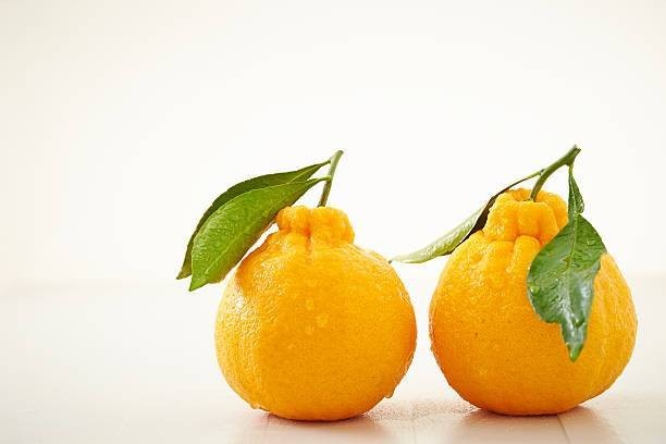 デコポンと不知火は同じ品種？野菜ソムリエが教える3つの違い
