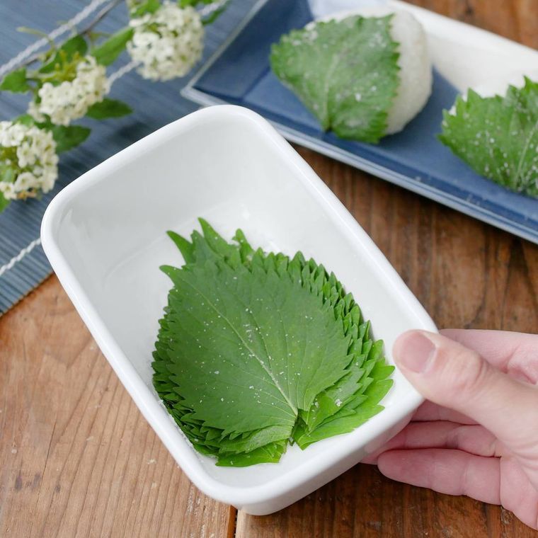 白いバットに入った大葉の塩漬け