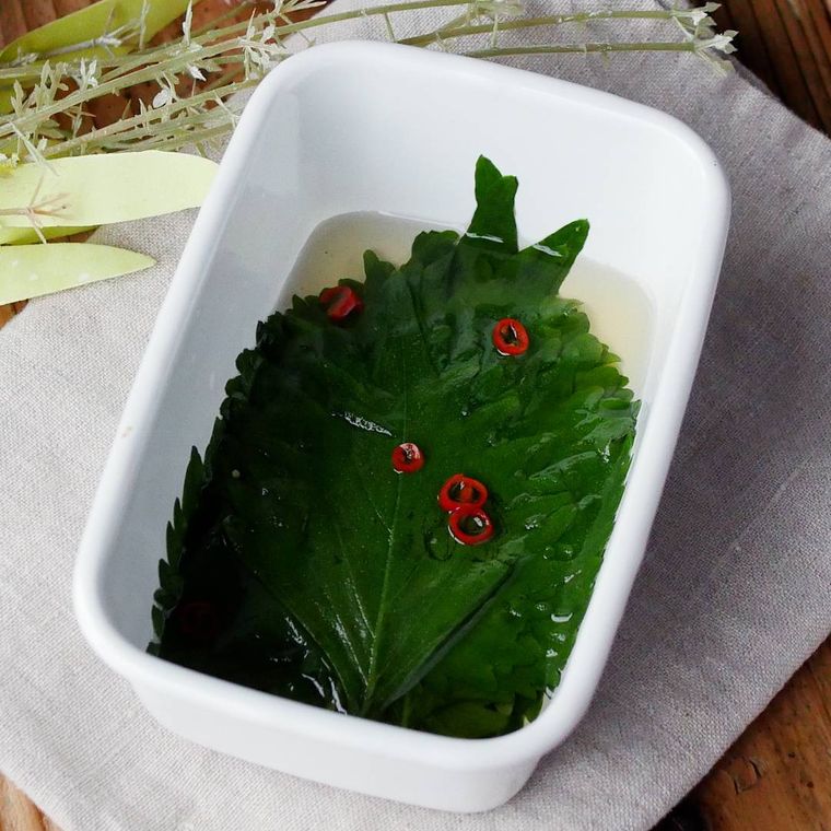白いバットに入った大葉の浅漬け