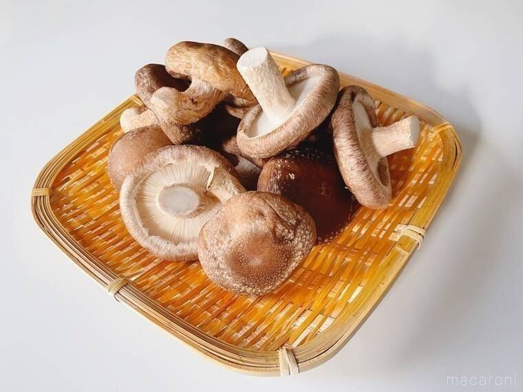 ザルにのった生しいたけ