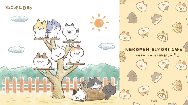 ねこぺん日和カフェねこのしゅうかいじょのイメージ