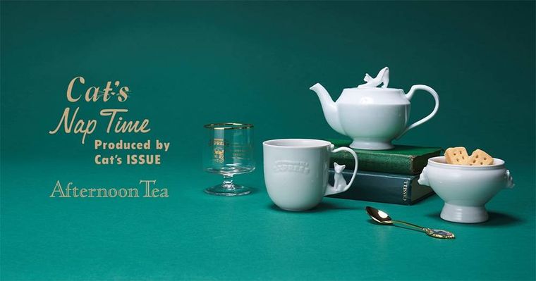 Cats NapTime produced by Cats ISSUEのイメージ