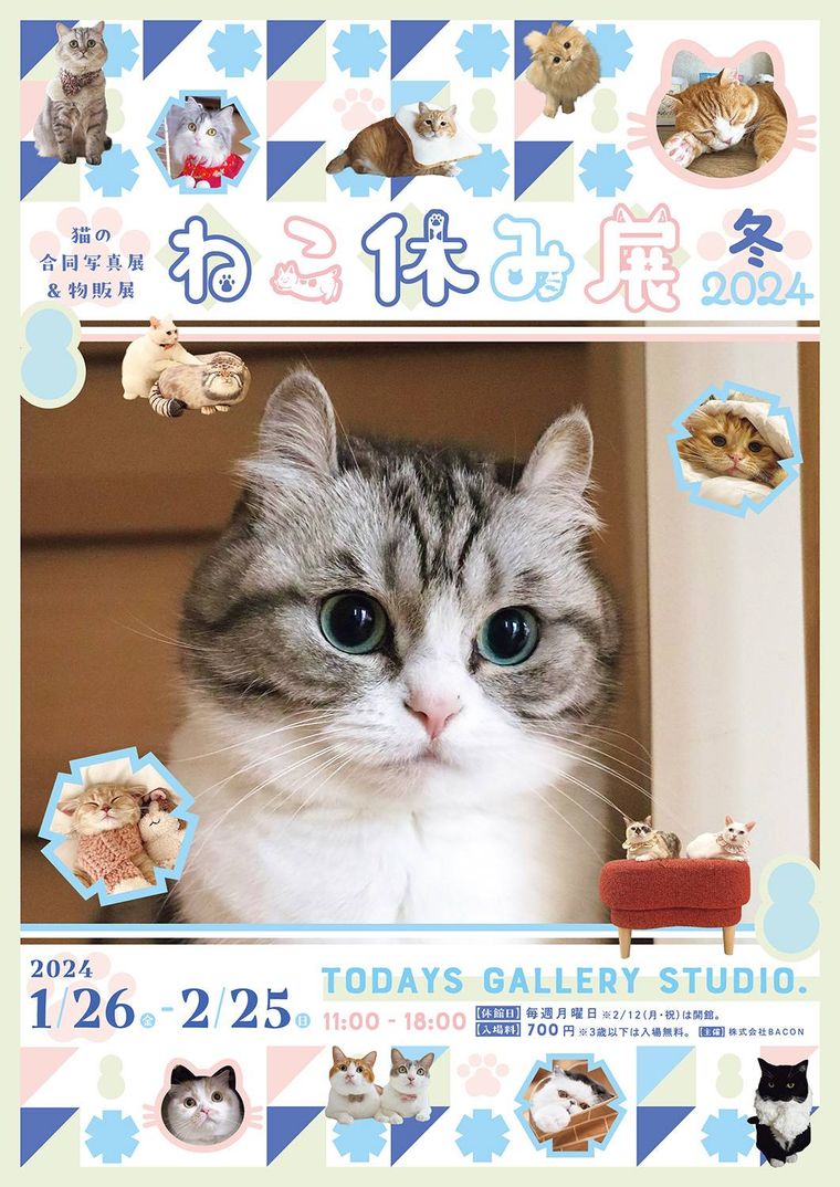 TODAYS GALLERY STUDIO.ねこ休み展のイメージ