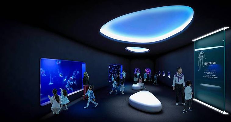 クラゲライフのイメージ