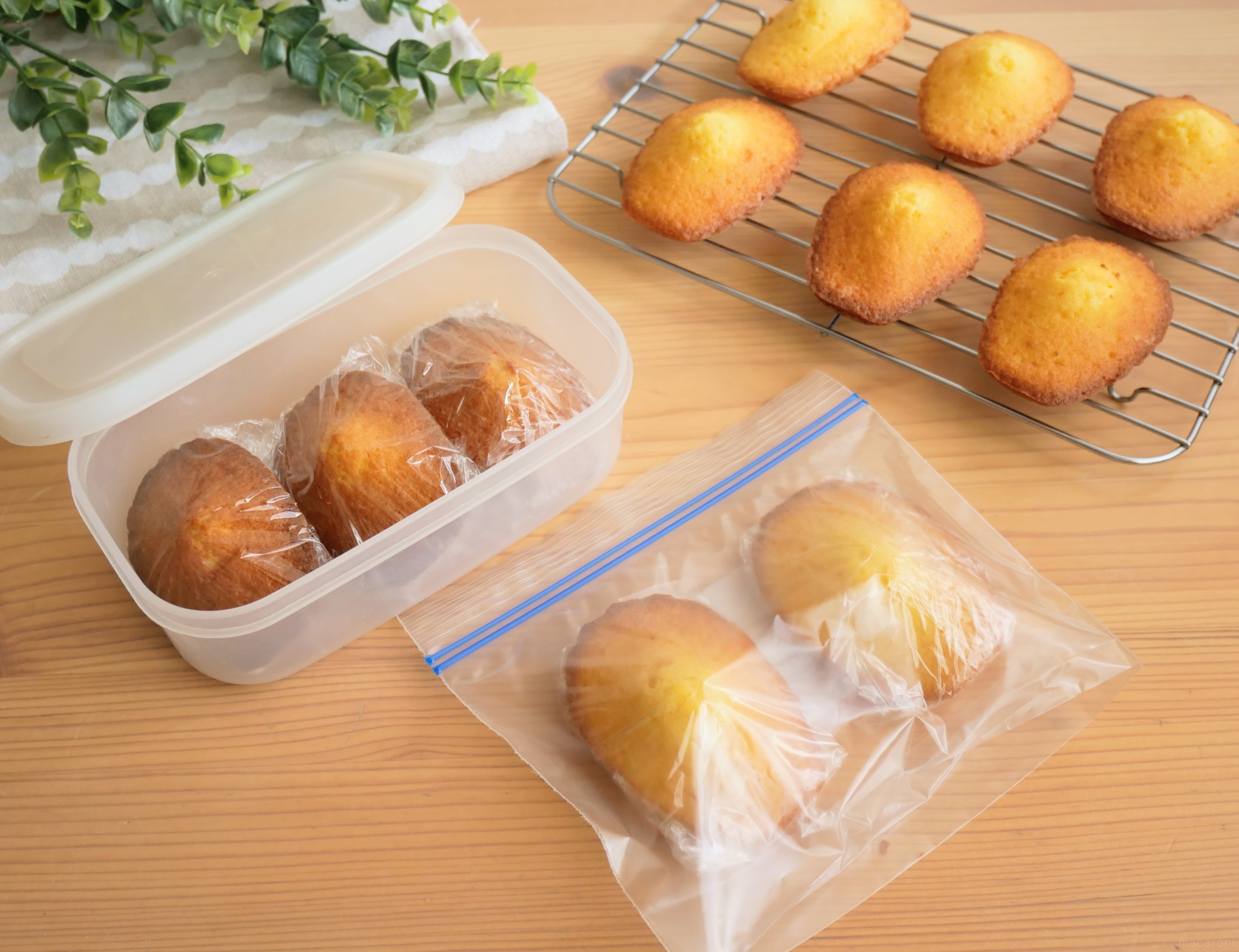 マドレーヌの保存方法をプロが解説。おいしく日持ちさせるコツも伝授