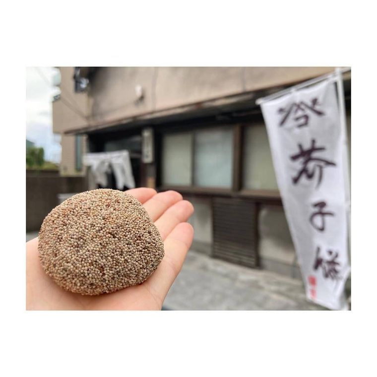 本家小嶋の外観と芥子餅