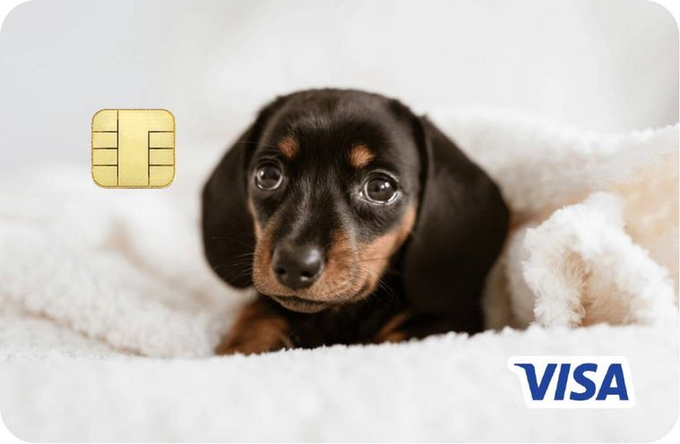 犬の写真が印刷されたエポスペットカード