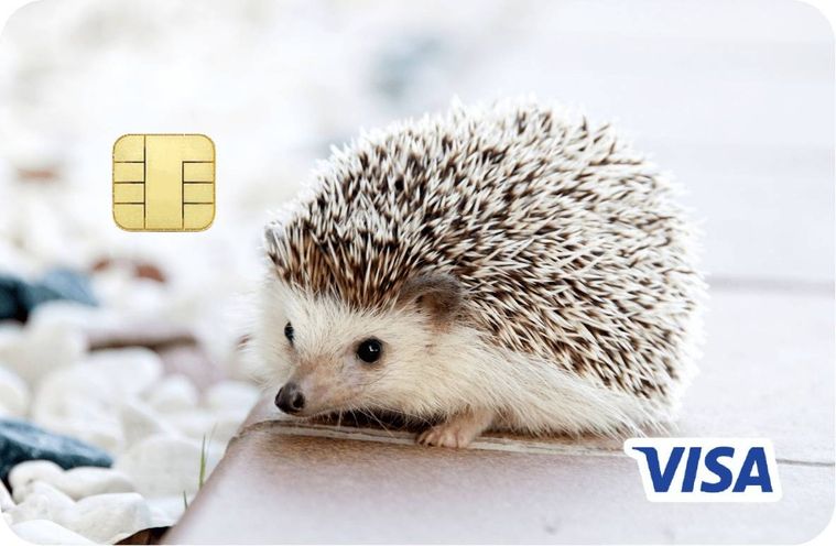 ハリネズミの写真が印刷されたエポスペットカード