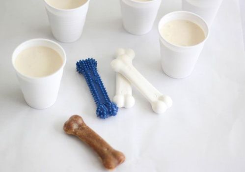 ペットだって暑い みんな大好き犬用アイスキャンディーの作り方 Macaroni