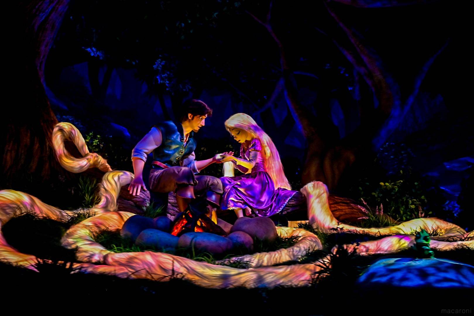 新アトラクション「ラプンツェルのランタンフェスティバル」レポ