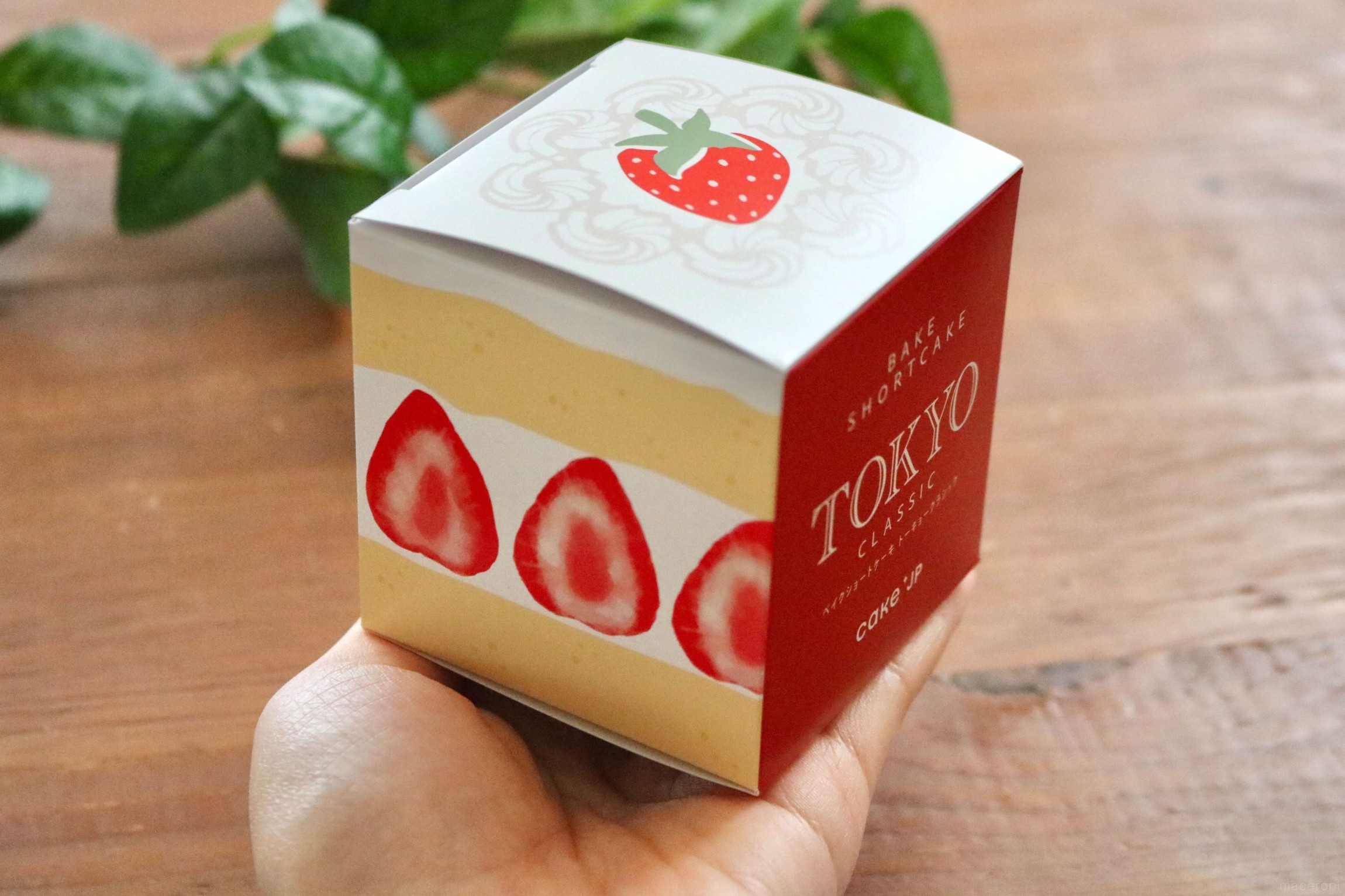 ショートケーキ❤︎　OM 赤ポケJK ショートケーキ❤︎ OM 赤ポケJK ショートケーキ - Single - 甘党男子