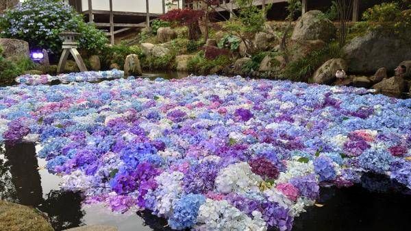 あじさい祭のイメージ