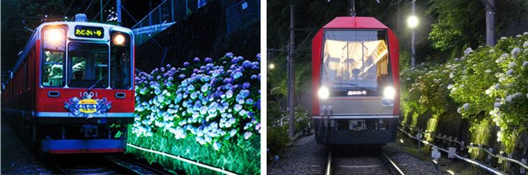 箱根登山鉄道夜のあじさい号のイメージ