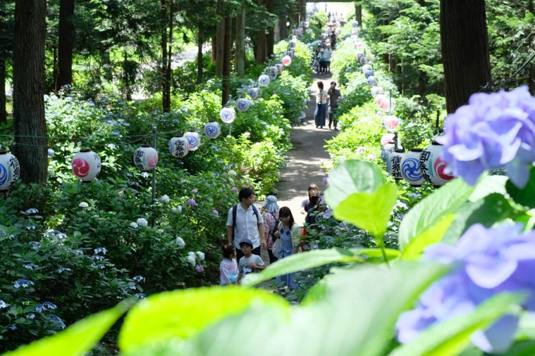 磯山神社あじさい祭りのイメージ