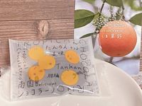 地元ライターおすすめ鹿児島でしか買えないお土産お菓子や雑貨など