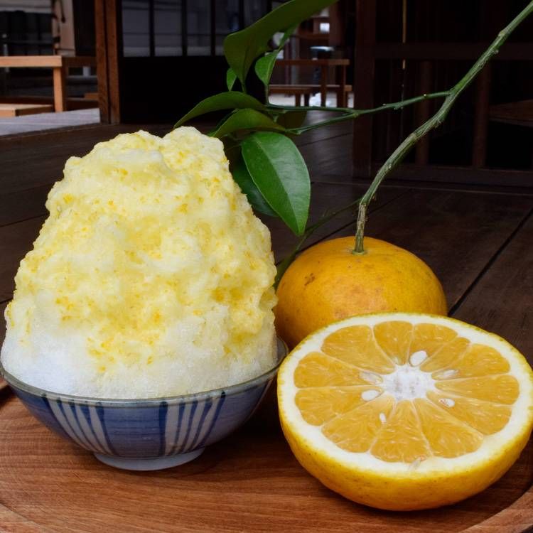 三重テラス柑橘氷