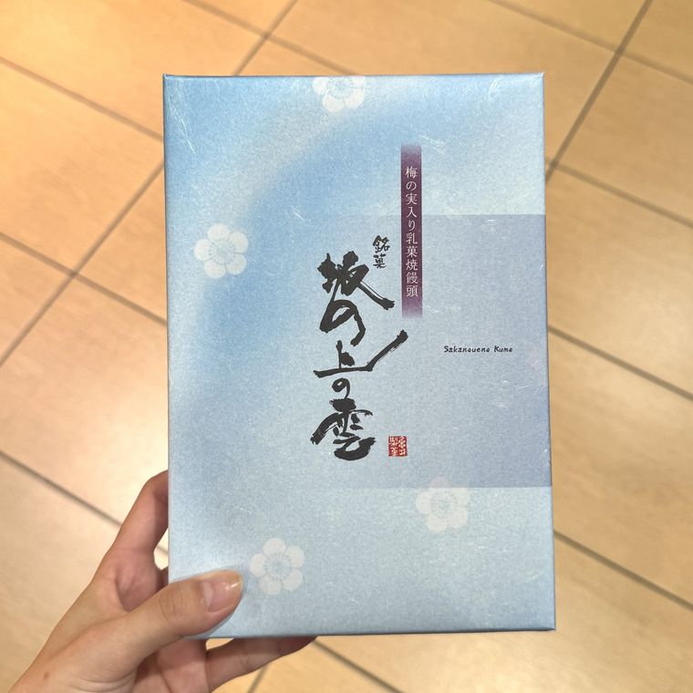 手に持った坂の上の雲