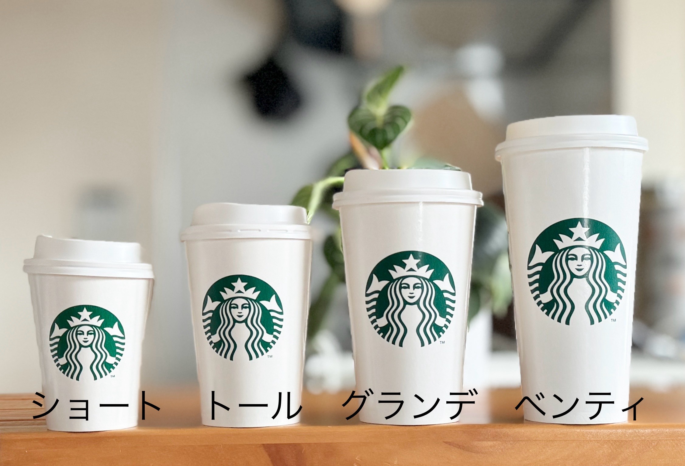 Thoe スタバ タンブラー ベンティサイズ STARBUCKS ハワイ限定 