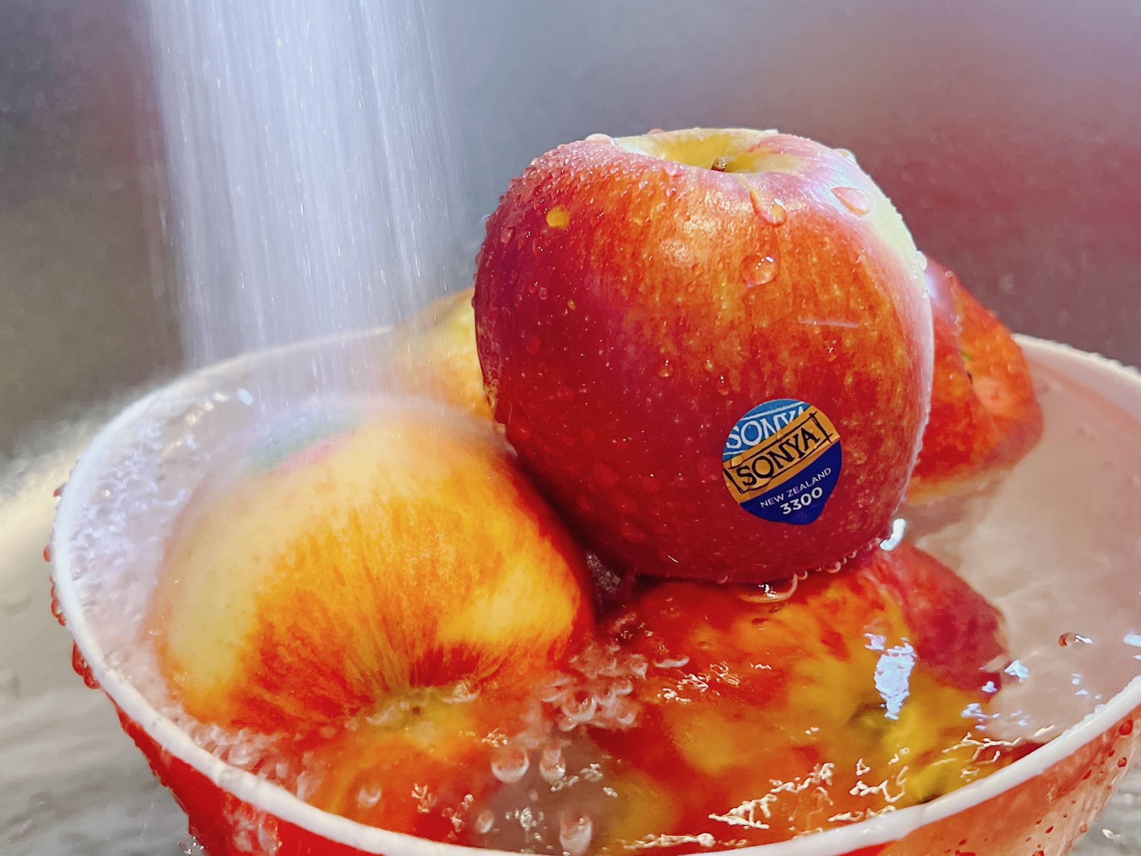 初夏にだけコストコで販売される「ソニヤりんご」って？ 味わいや食べ