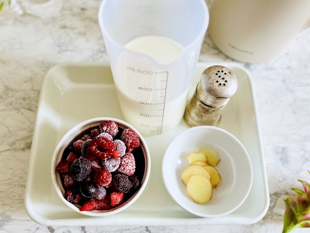 レコルト 自動調理ポット スムージームーカー 自動調理ポット