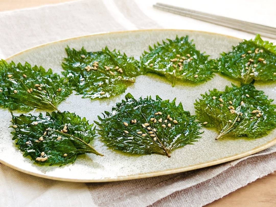 大葉 レシピ おつまみ