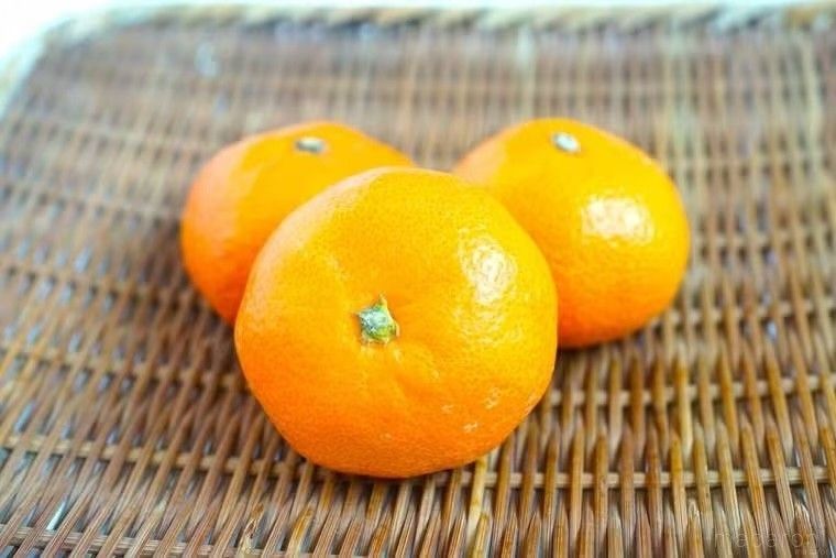 カゴに盛られたみかん