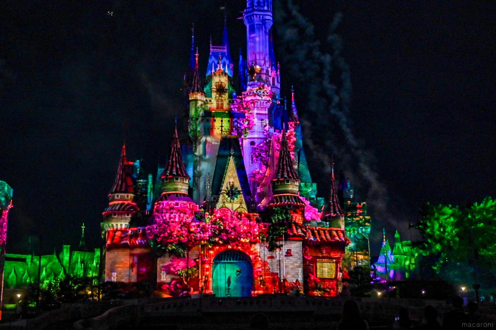 東京ディズニーランド®「リーチ フォー ザ スターズ」の全貌レポ